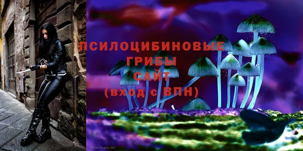 ECSTASY Алексин