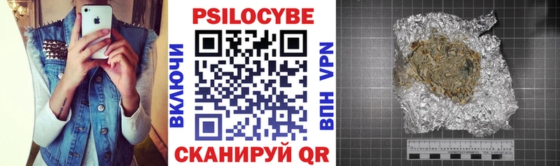 Псилоцибиновые грибы GOLDEN TEACHER  продажа наркотиков  Хадыженск 